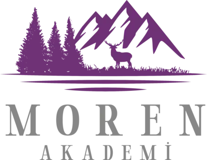 Moren Akademi